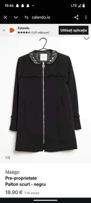 Geci de iarna-primavara