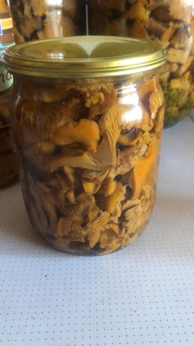 Продам Лисички маринованные, сухие