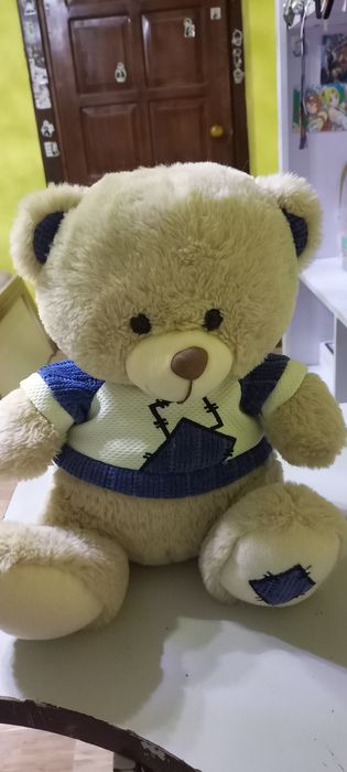 Медвежонок в фудболке