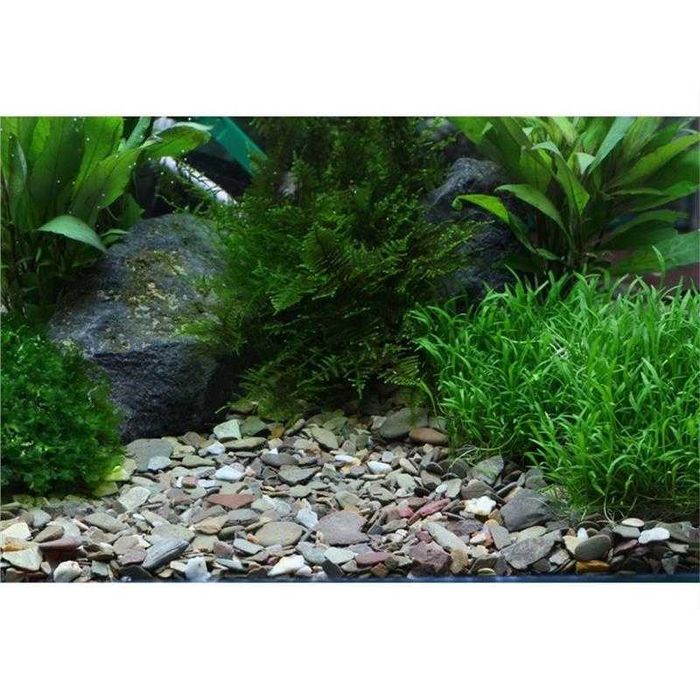 Pietris natural acvariu Dennerle Plantahunter Rio Xingu 2-22mm, 5kg