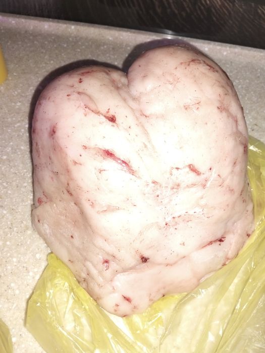 Продам свежий курдюк