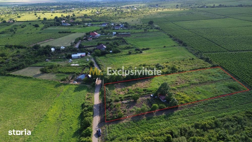 Teren Urlați /Utilitati/ 5.555 mp pe Traseul MARVIN si Drumul Vinului