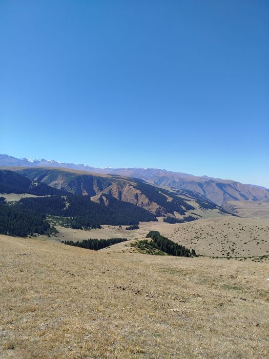 Туризм трансфер и.т.д