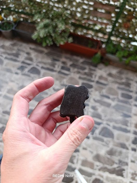 Малки костенурки