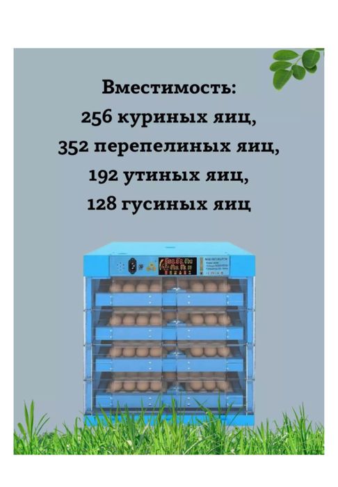 Инкубатор бизон