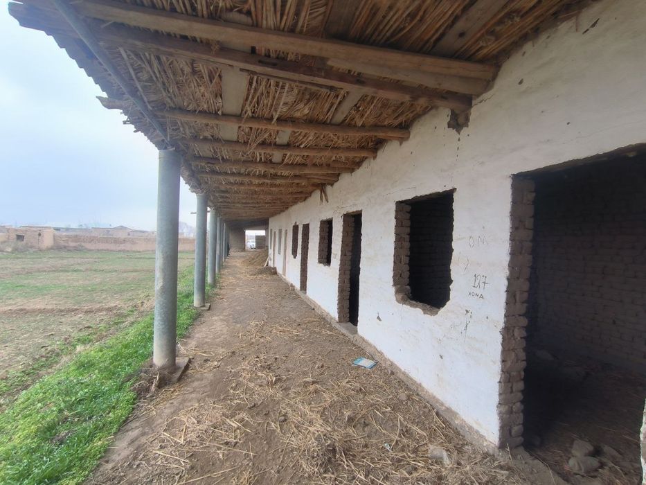 Уй бор кимга керак буса срочно сотаман