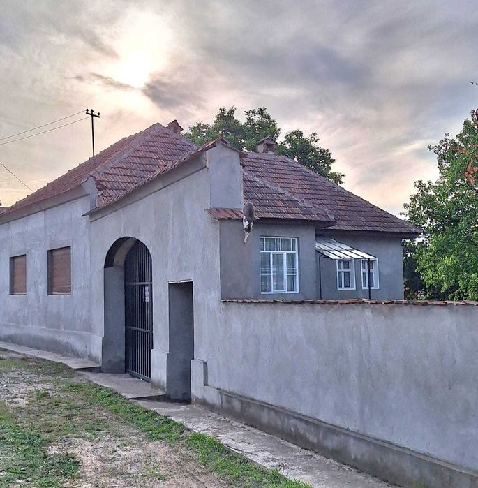 Casă de vânzare la tara în inima naturii – Ludești, județul Hunedoara