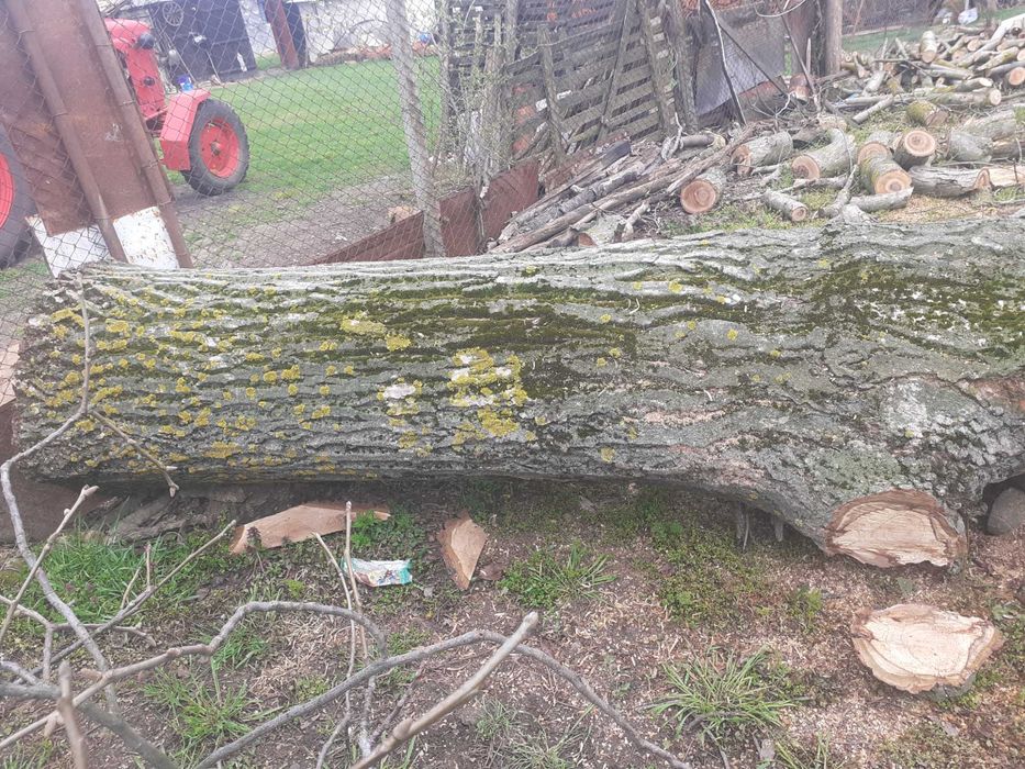 Дървен материал орех