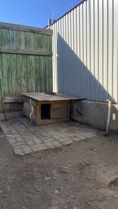 Собачья будка даром