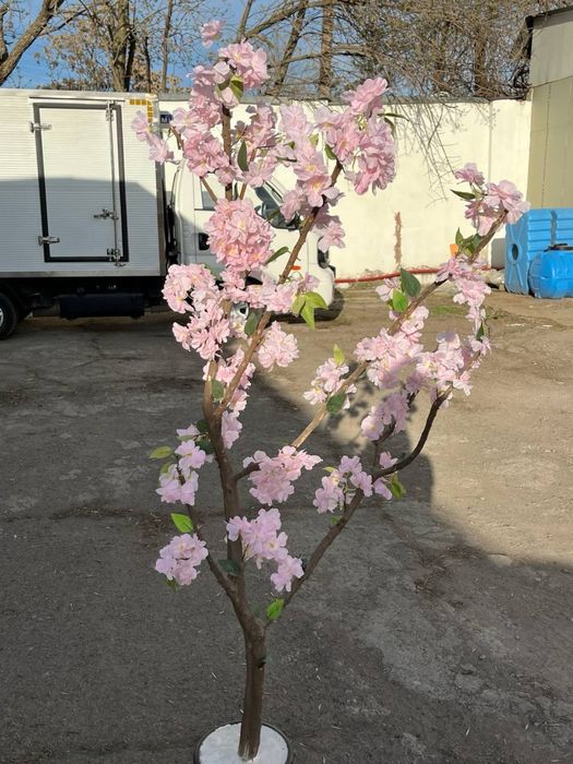 Сдаю в аренду искуственые деревья
