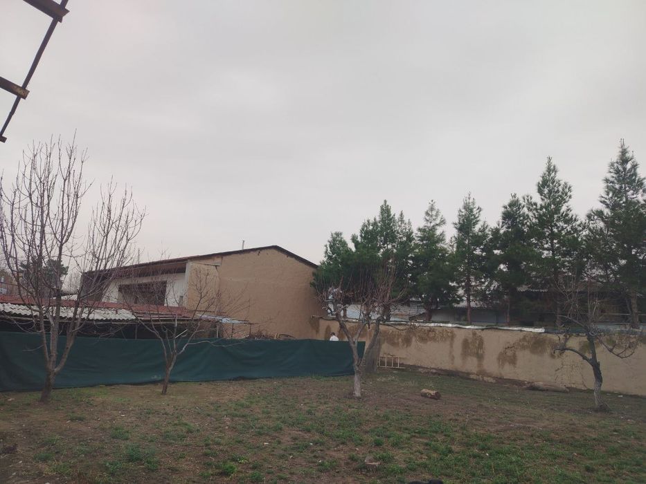 3 сотих  курук ер сотилади