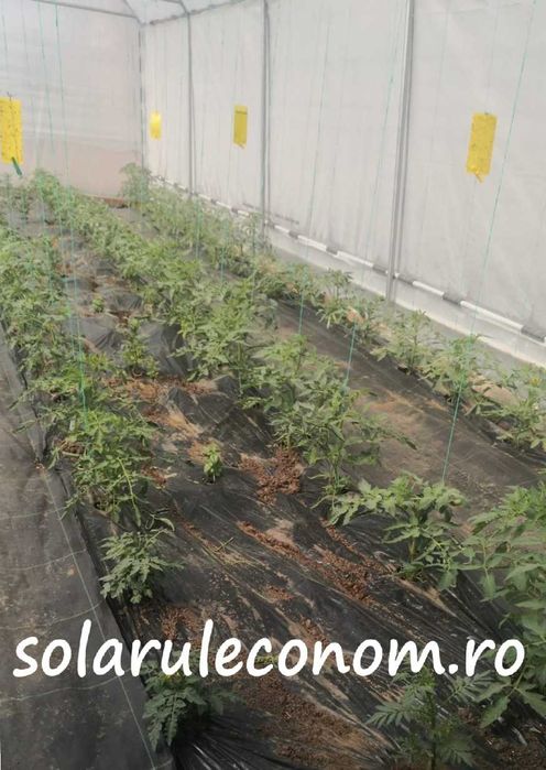 Solar de grădina /sere complete . Arcade solar . Fara sudura. Tip IKEA