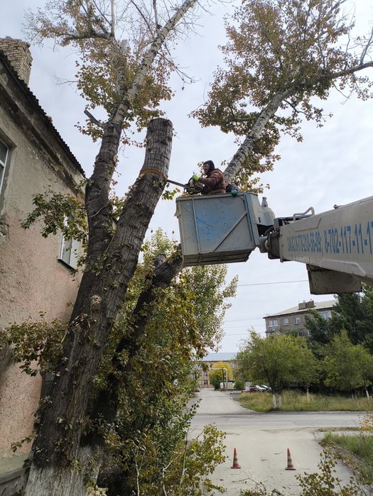 Услуги автовышки