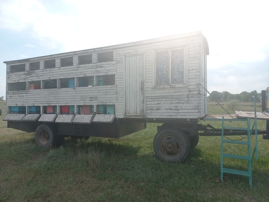 Продам пасеку в комплекте