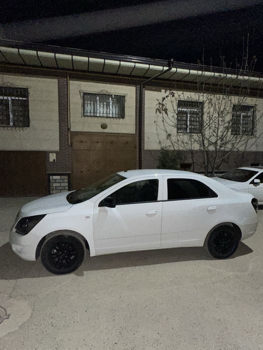 Cobalt midnight 2025