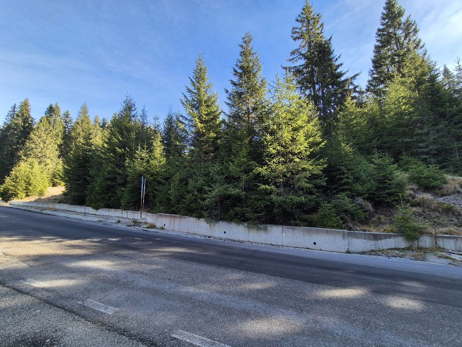 Teren Dichiu Transbucegi