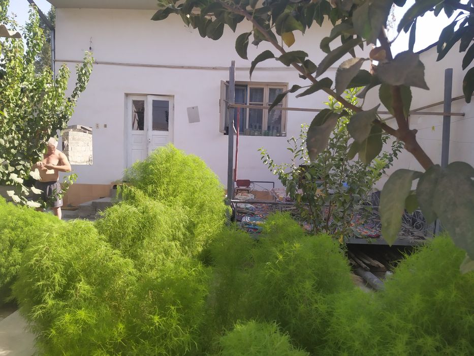 5xonali uchastka sotiladi