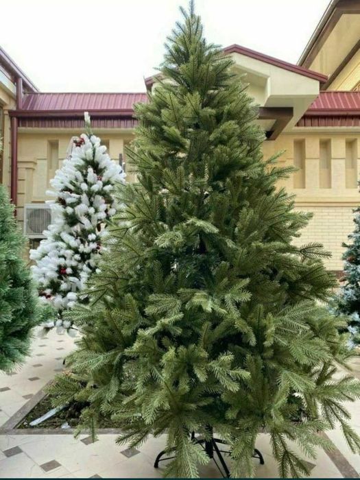 Великолепная ёлка с невероятно обонятельным силуэтом!