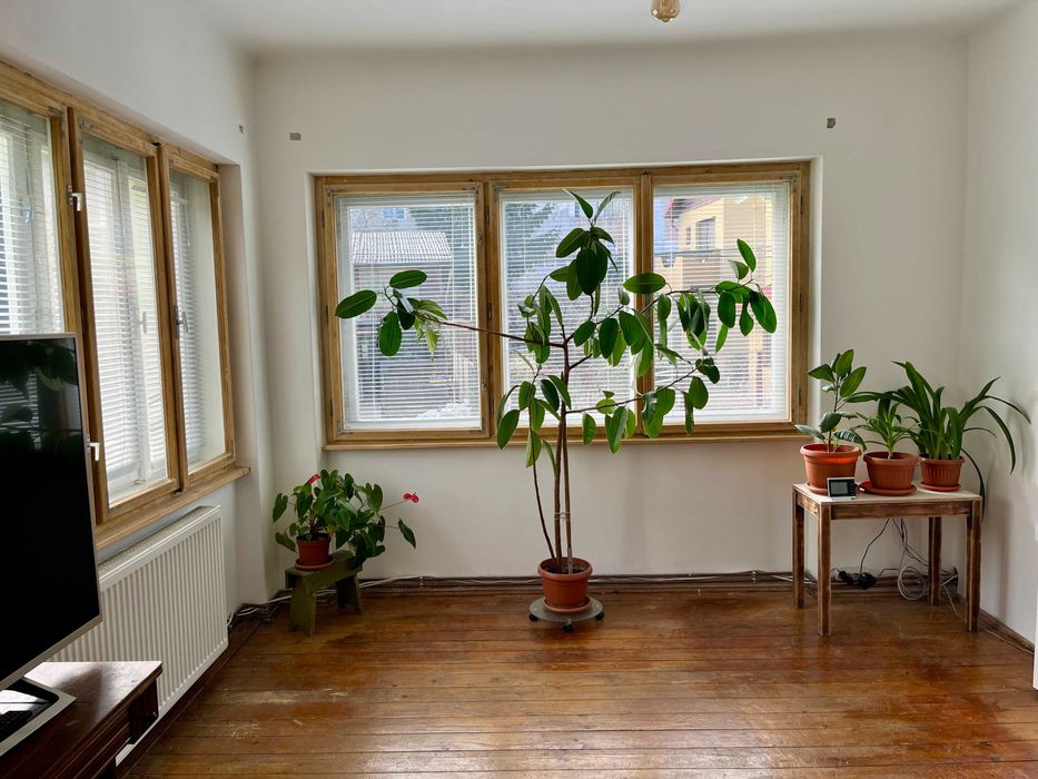 Spatiu multifunctional de inchiriat zona Spital Unitate Militara