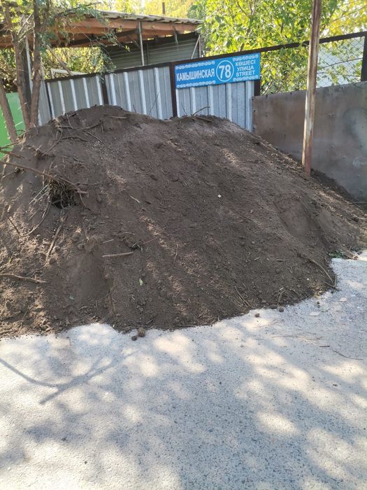 Чернозем плодородный