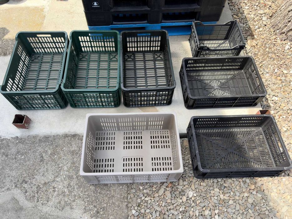 Lazi si Paleti din plastic – ideale pentru depozitare si transport