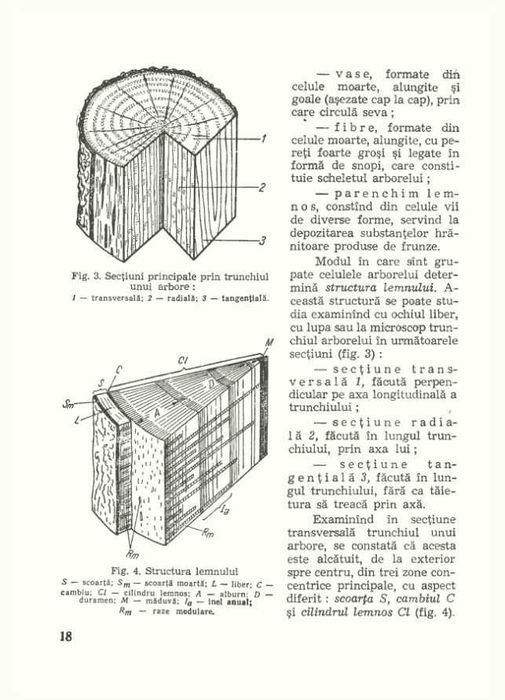 Cartea Dulgherului - ediția a IV-a - 1971