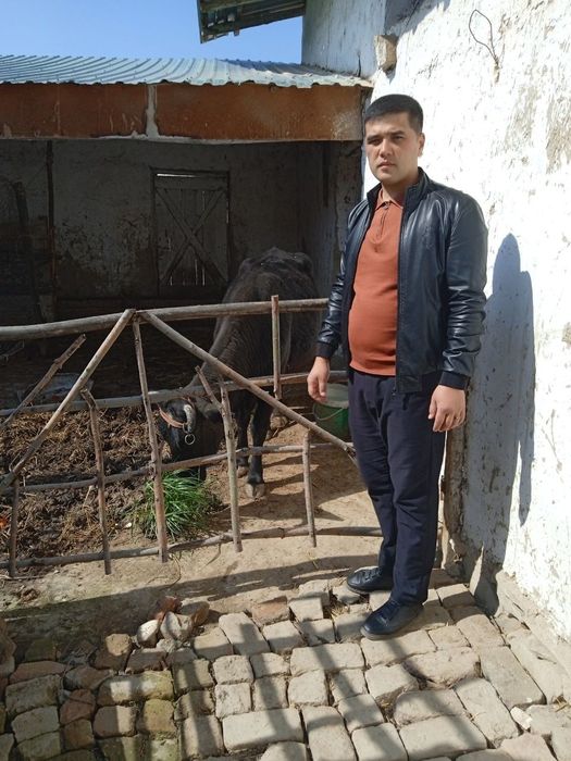 Mollar sotiladi kelishilgan narxlarda