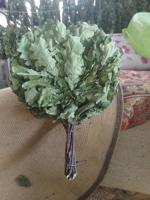 Дубовые банные веники для парения