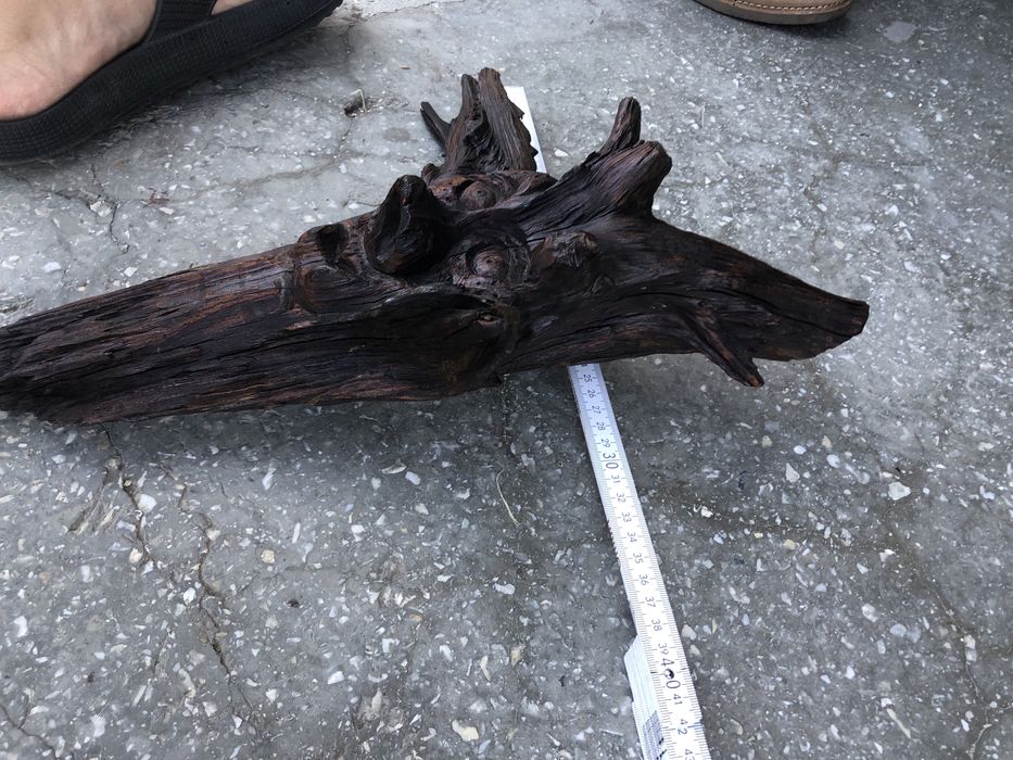 Vind figura din lemn