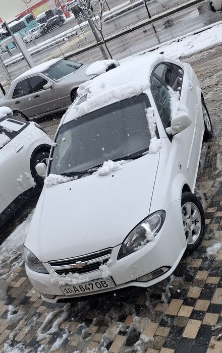 Жентра 2022. 3-поз краска тоза