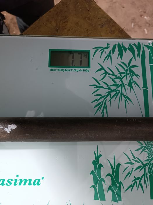 Продам кругляк 30