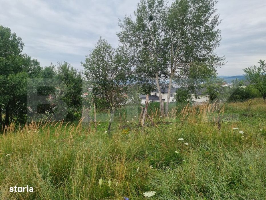 Teren 700 mp cu priveliste spre oras, disponibil si parcelat, Bistrita