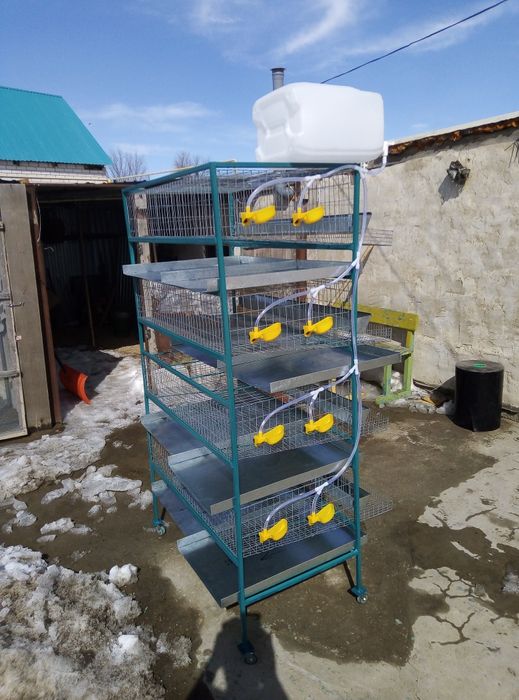 Продам клетки для перепелок-несушек