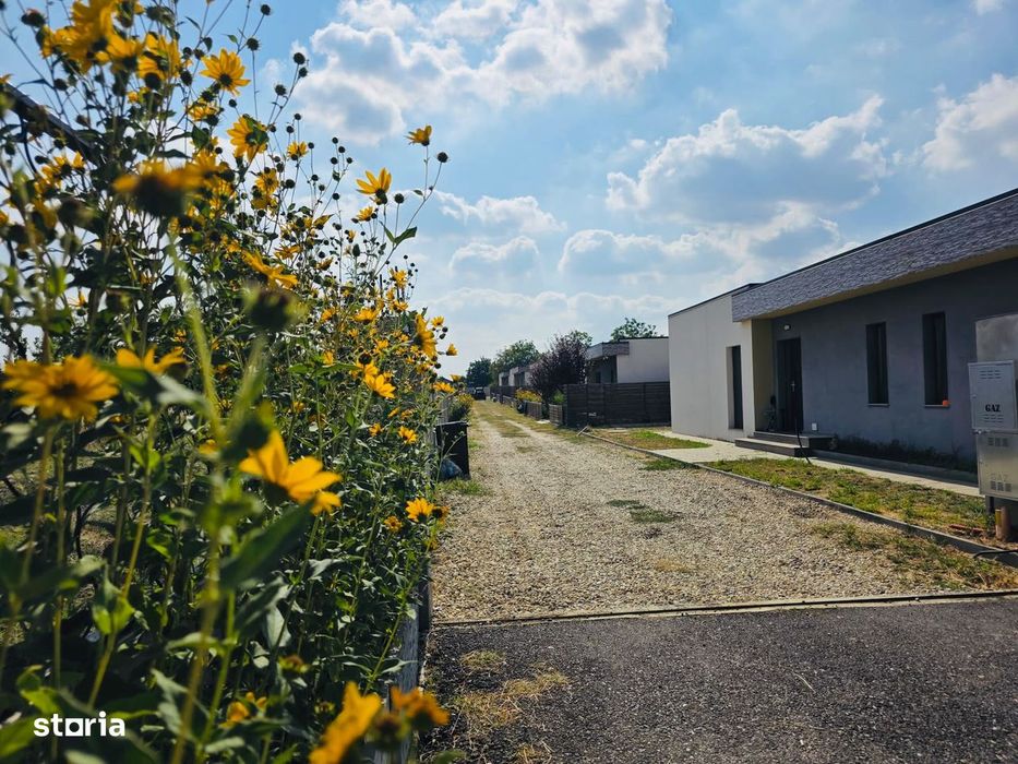 Casa individuala 3 camere teren 300 mp Berceni Ilfov