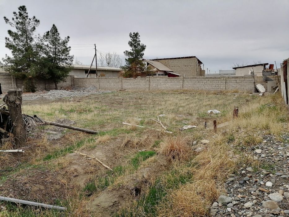 Дала ер Племсавхозда