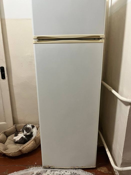 Продам холодильник Sneige. Состояние отличное. Хорошо работает. NO FRO