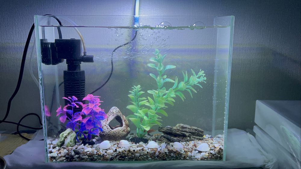 продам аквариум