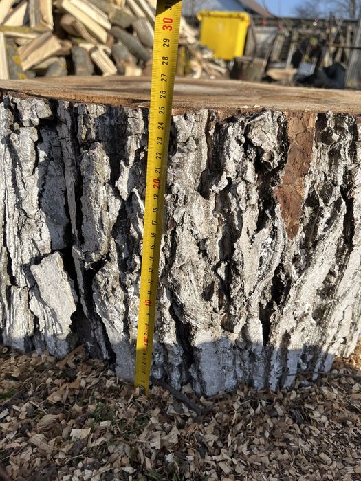 De vânzare trunchi nuc