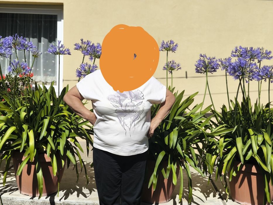 Vând Agapanthus deosebit (Floarea Dragostei) matur - vârstă 15 an