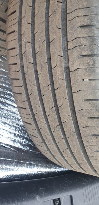 Continental Eco Contact 6