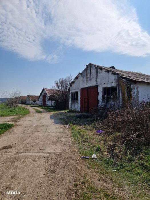 Ferma de vanzare 8 ha – Bals, judetul Olt