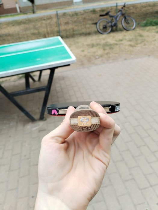 Vând paleta profesionala