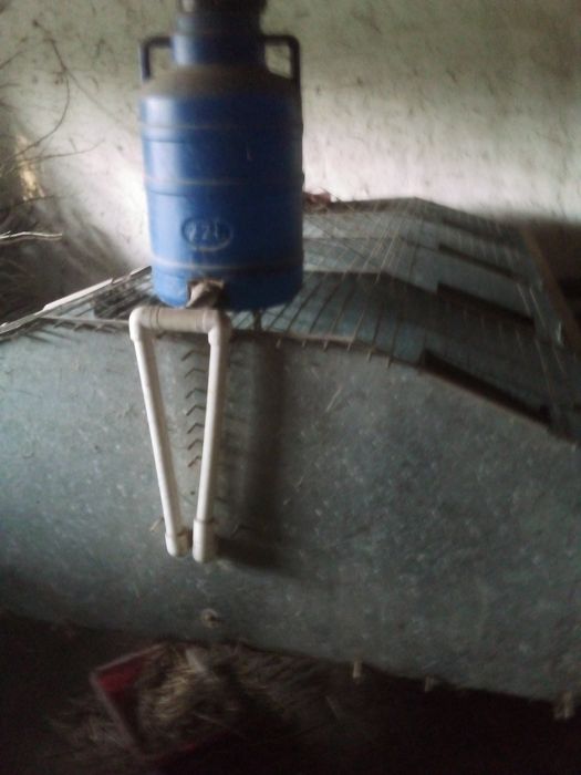 Quyon uchun qafaslar bor. Kletka. Zamonaviy quyon qafasi. 3 mln so‘m