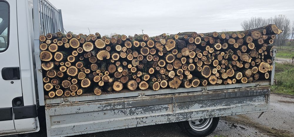 Дърва за огрев 161 ЛВ