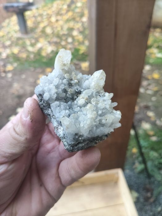 Flori de mina. Minerale