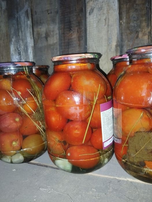 Помидоры соленые