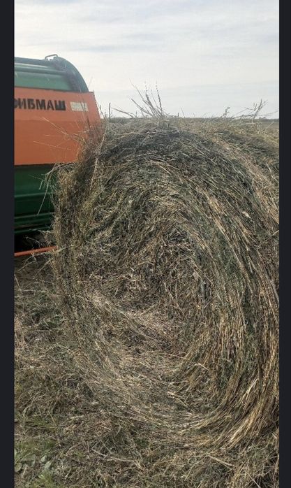Продам сено в тюках