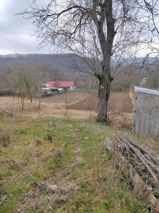 Vânzare teren în Satul Strezeni, comuna Tisău (Buzău)