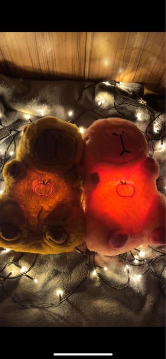 Дышащая Выдра Алматы