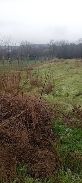 Продава се Къща в с. Златар, Област Шумен - 80 кв.м за 255 €/кв.м - Снимка #6